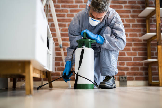 Best Real Estate Pest Inspections  in Windber, PA